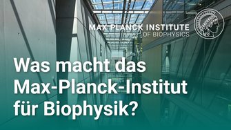 Das Max-Planck-Institut für Biophysik&nbsp;