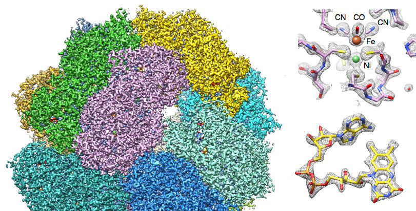 High-resolution cryoEM of soluble multi-protein complexes High-resolution cryoEM of soluble multi-protein complexes