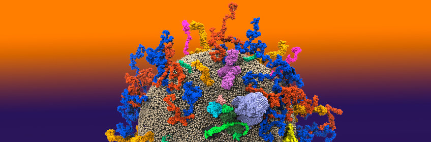 Gerhard Hummer – Theoretical Biophysics Gerhard Hummer – Theoretical Biophysics