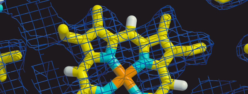 Aerobic Terminal Oxidases