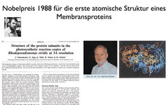 © MPI für Biophysik