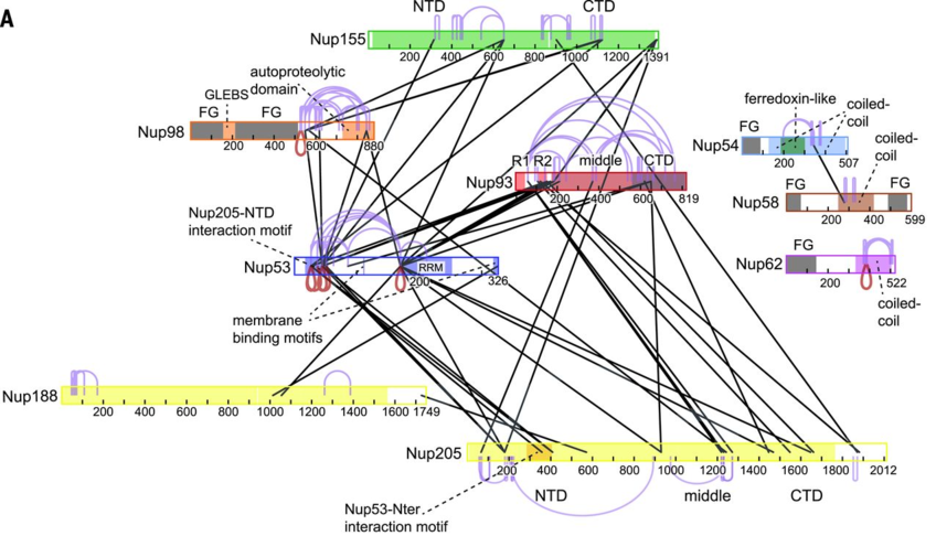 Structural Proteomics Structural Proteomics