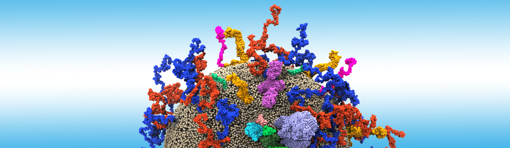 Membrane Sensing and Remodeling Membrane Sensing and Remodeling