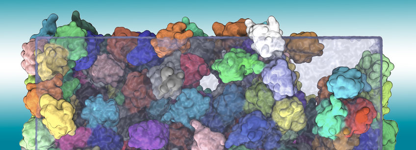Biomolecular Dynamics Biomolecular Dynamics