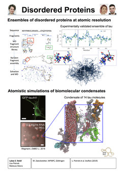 Ensembles of disordered proteins at atomic resolution - Atomistic simulations of biomolecular condensates