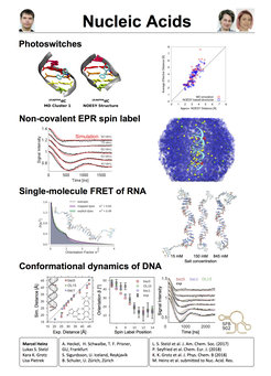 Photoswitches - Non-covalent EPR spin label - Single-molecule FRET of RNA - Conformational dynamics of DNA