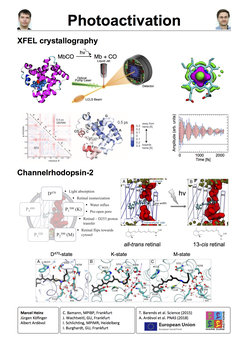 XFEL crystallography - Channelrhodopsin-2
