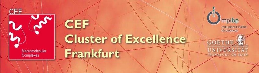 Cluster of Excellence (CEF)