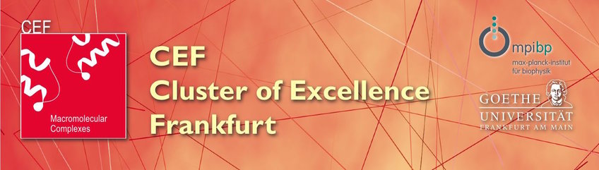 Cluster of Excellence (CEF) Cluster of Excellence (CEF)