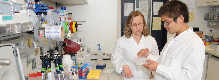 PhD Studierende PhD Studierende