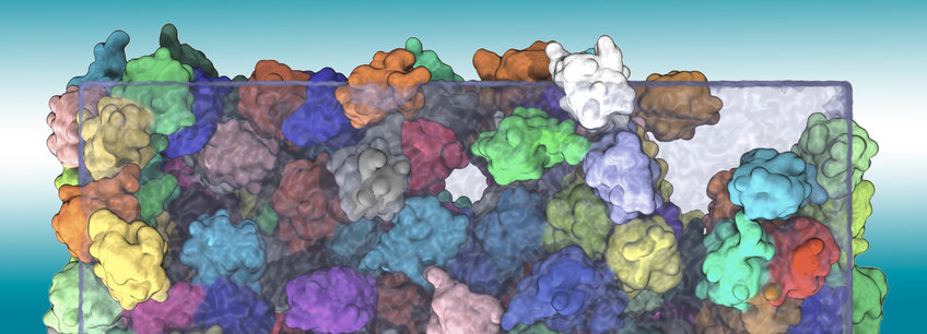 Biomolecular Dynamics Biomolecular Dynamics