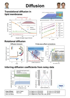 Translationale Diffusion in Lipidmembranen - Rotationsdiffusion - Ableiten von Diffusionskoeffizienten aus verrauschten Daten