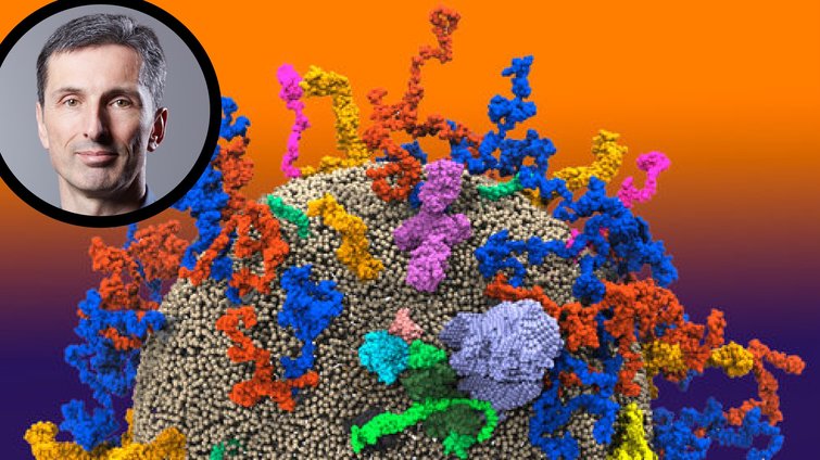 Gerhard Hummer: Theoretische Biophysik