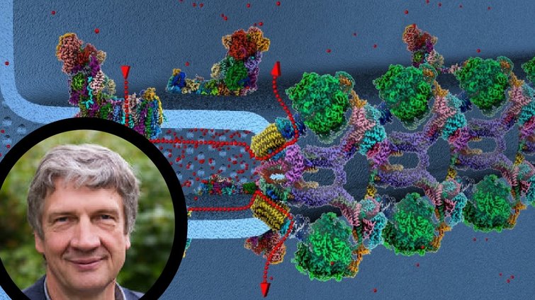 Werner Kühlbrandt: Strukturbiologie