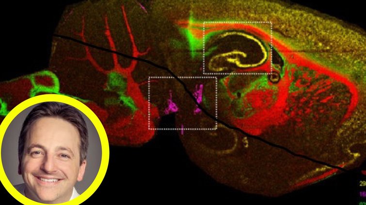 Julian Langer: Membranproteomik und Massenspektrometrie