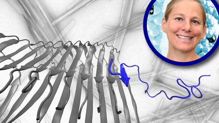 Nadine Schwierz: Statistische Physik und Computersimulationen