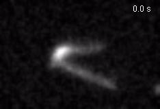 Figure 1. Real-time imaging of DNA loop extrusion mediated by condensin