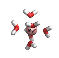 Simulation snapshot of the Magnesium ion and its first hydration shell consisting of six water molecules