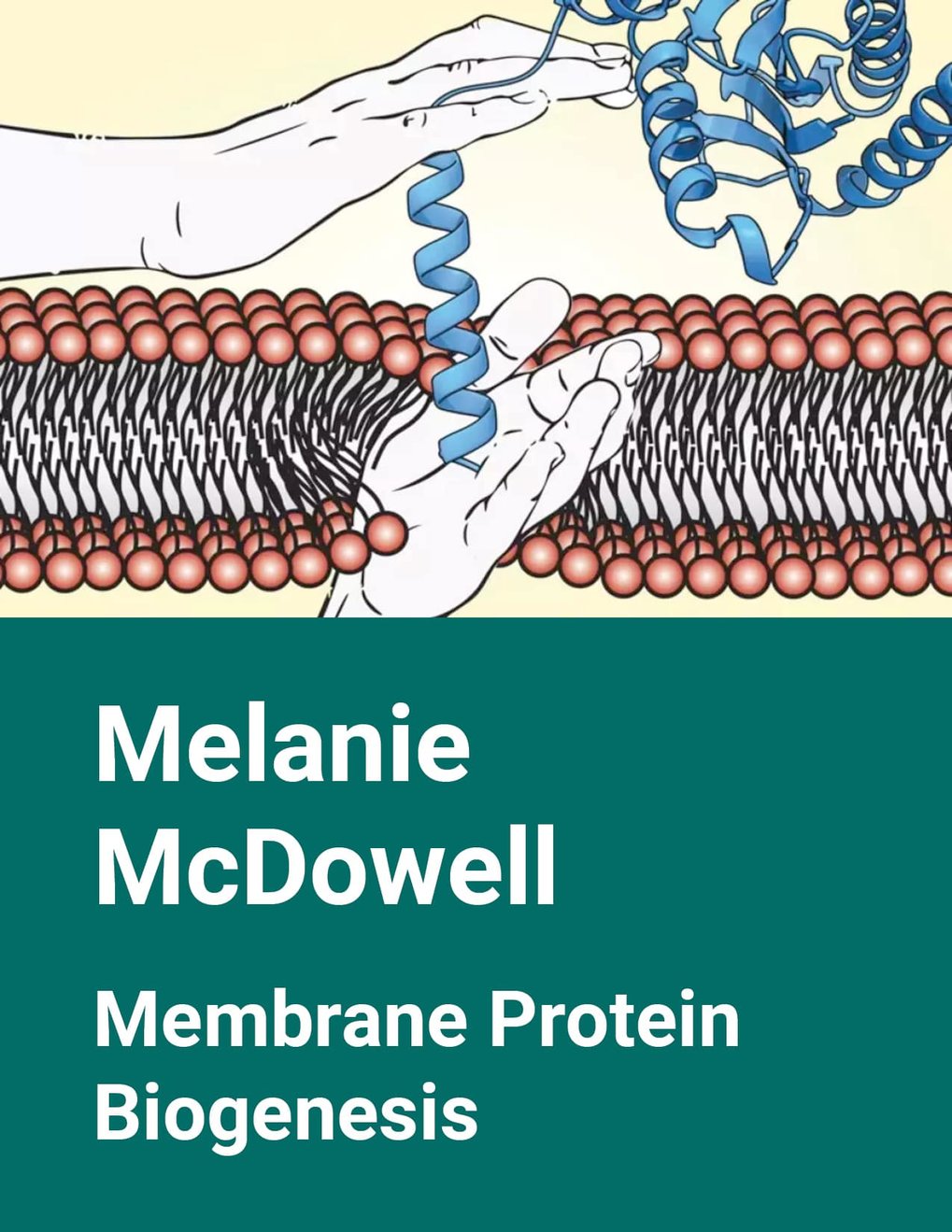 Melanie McDowell &ndash; Membrane Protein Biogenesis