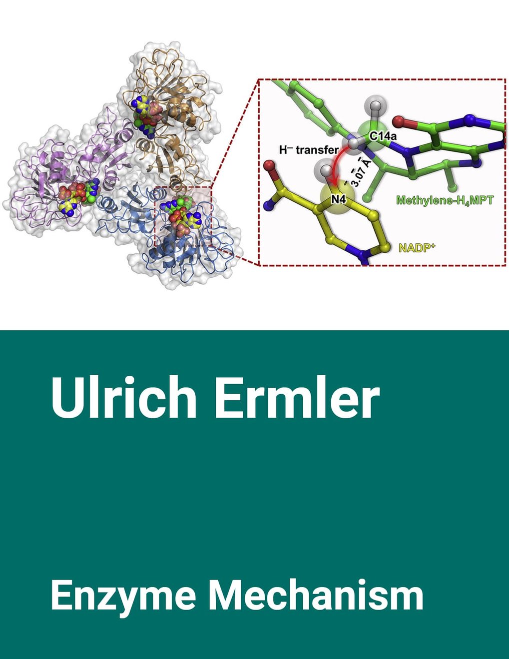 Ulrich Ermler &ndash; Enzyme Mechanism
