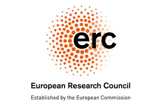 ERC Starting Grant: LoopSMC