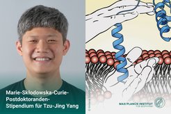Portrait: Shau Chung Shin, Illustration: Melanie McDowell