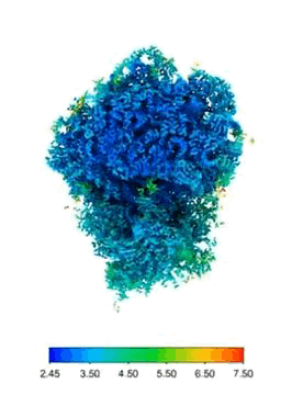 Visualization of a ribosome in a human cell via cellular tomography. Electron microscopy images from different angles are processed and combined on the PC using sophisticated image processing algorithms to produce a 3D image of the ribosome.