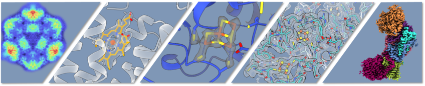 Bonnie Murphy – Redox and Metalloproteins