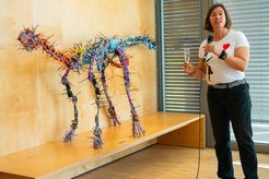 Künstlerin Julia Krause-Harder über ihre Faszination für Paläontologie und die anatomisch korrekte und lebensgroße Darstellung von Saurier-Skeletten als Kunstobjekte.