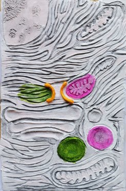 © Dorotea Fracchiolla