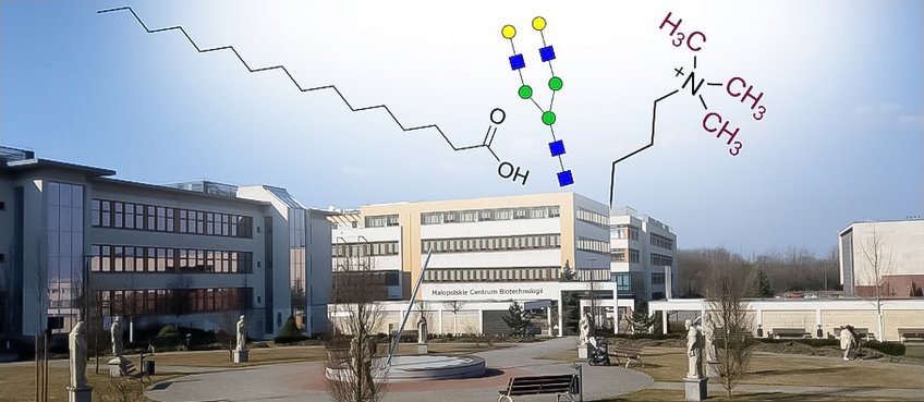 Mateusz Sikora – Dioscuri Centre for Modelling of Posttranslational Modifications