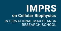 International Max Planck Research School on Cellular Biophysics (IMPRS-CBP
