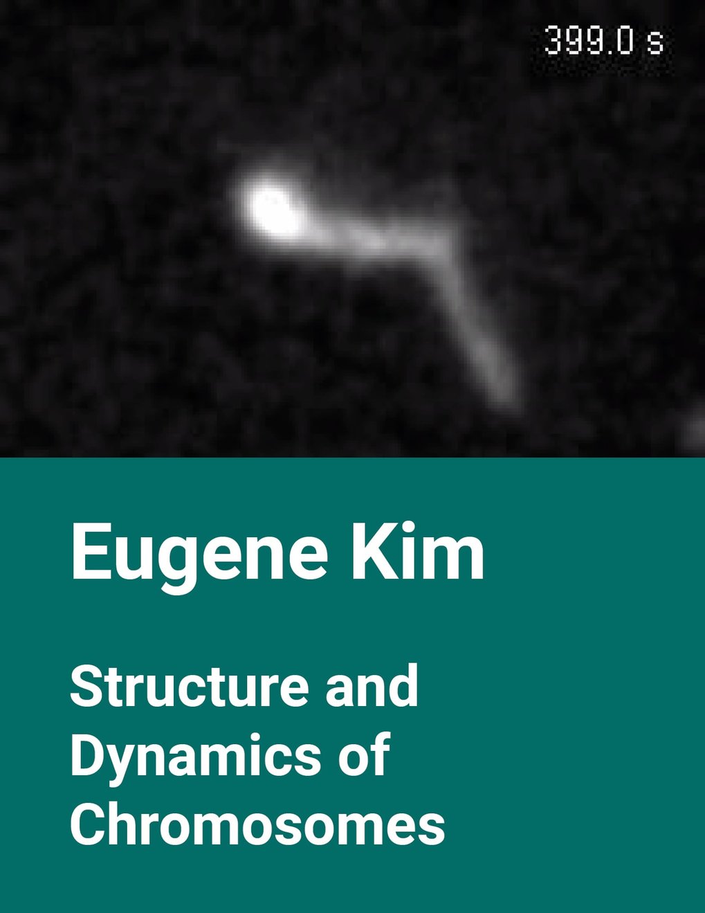 Eugene Kim &ndash; Structure and Dynamics of Chromosomes