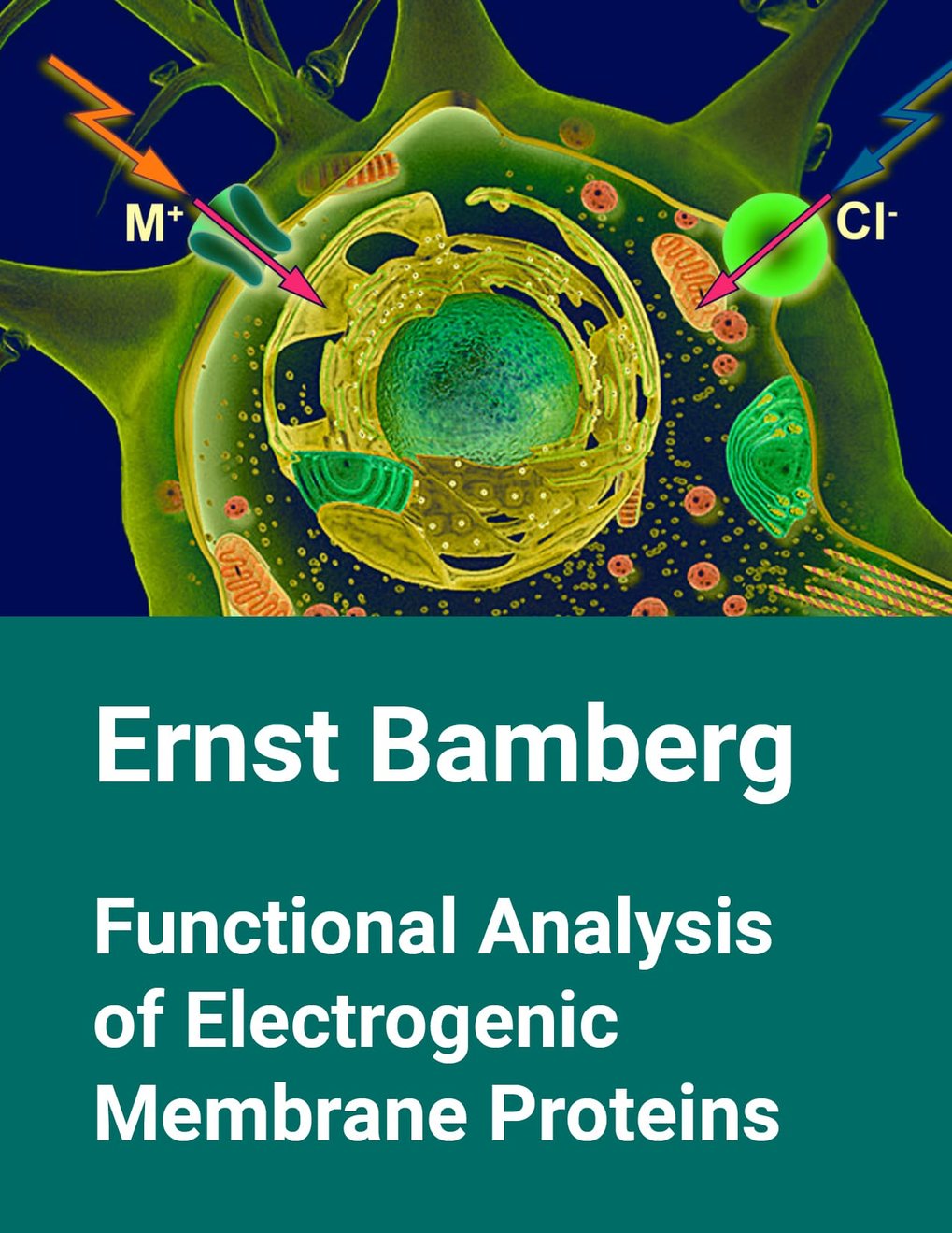 Ernst Bamberg &ndash; The Functional Analysis of Electrogenic Membrane Proteins