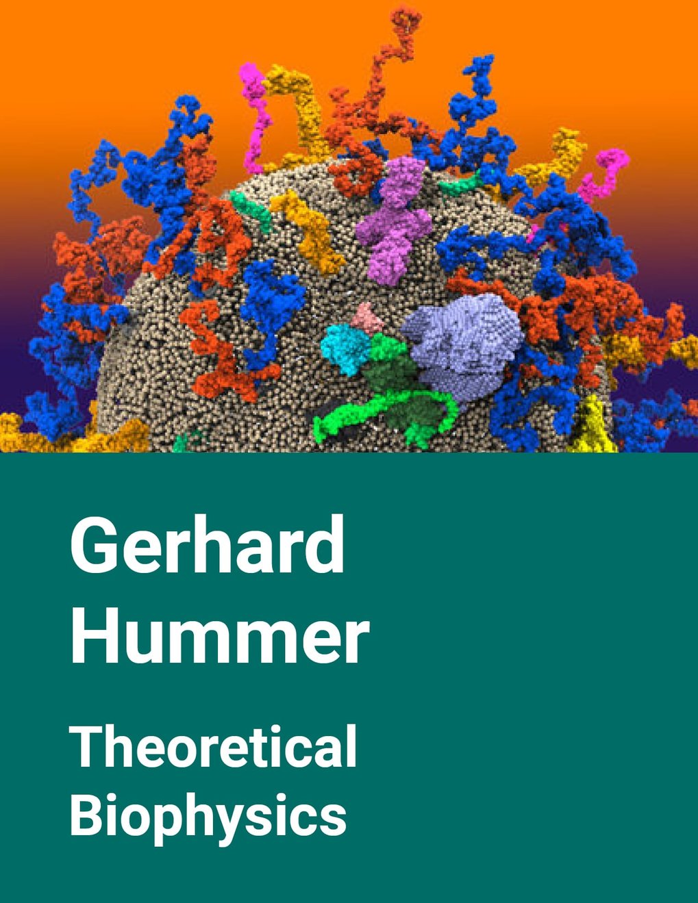 Gerhard Hummer &ndash; Theoretical Biophysics