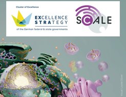 Logos of Excellence Strategy and SCALE featured above an intricate biological illustration with cellular structures and floating particles.