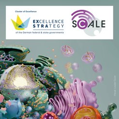 Excellence Strategy and SCALE logos are displayed above a vibrant, abstract representation of cellular structures.