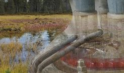 Close-up of metal laboratory equipment with coiled tubes, superimposed on an image of a dense forest and a swamp with grasses and water.